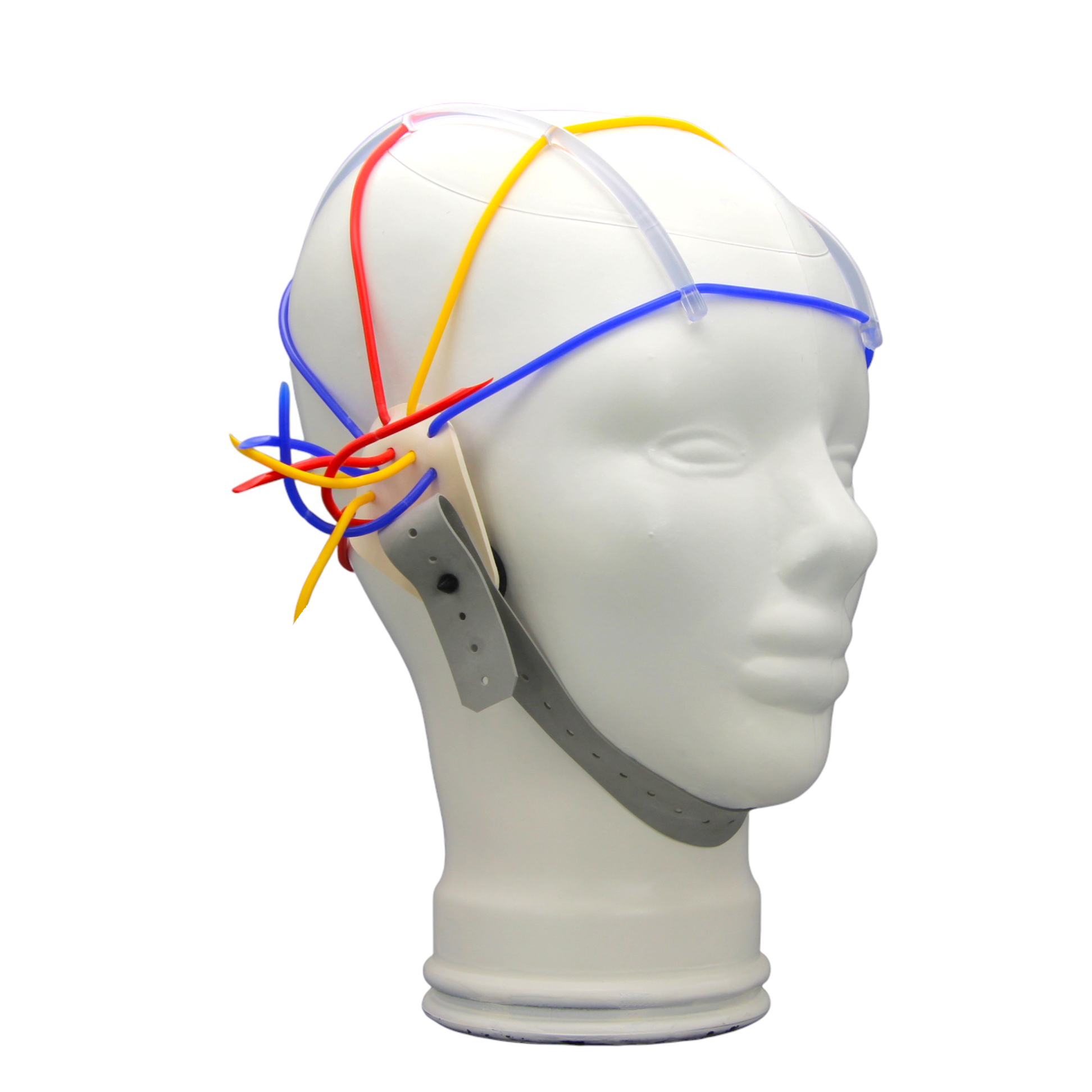 EEG cap Schröter in different sizes