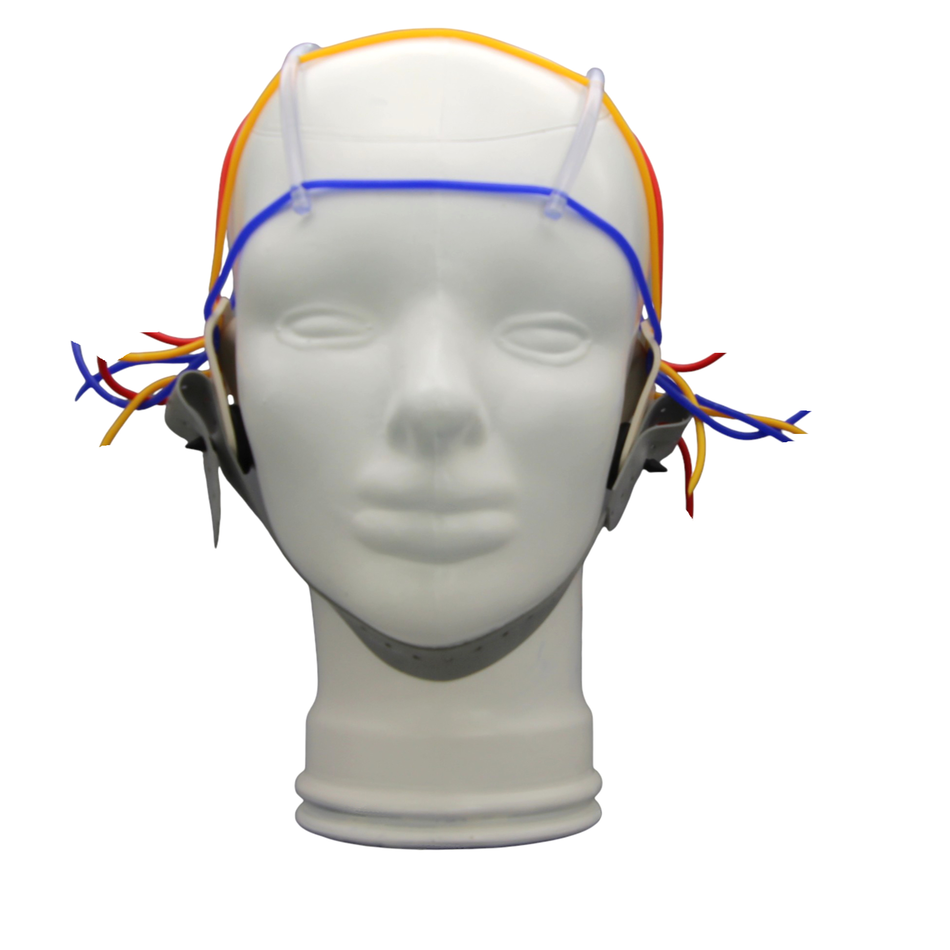 EEG cap Schröter in different sizes